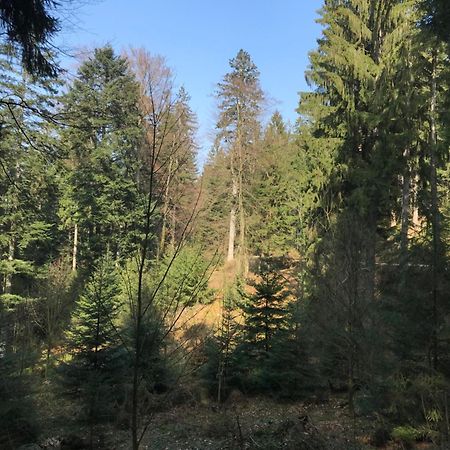 Ferienwohnung Hesselbach オーバーキルヒ エクステリア 写真