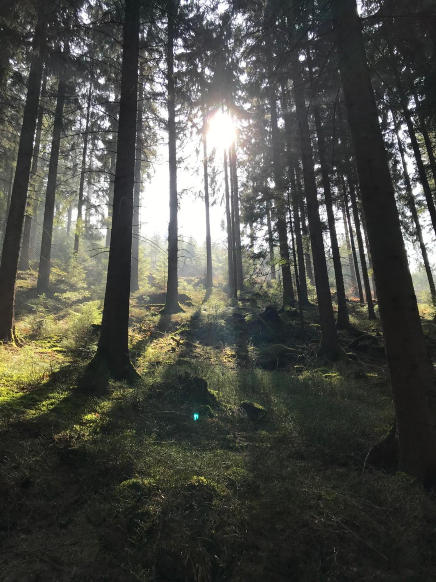 Ferienwohnung Hesselbach オーバーキルヒ エクステリア 写真